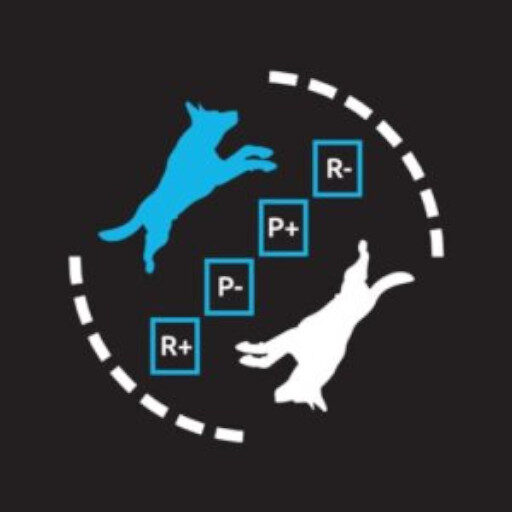 Trener psów – Harmony Dog Training